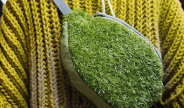 青青青草视频,探寻自然之美，感受生命活力