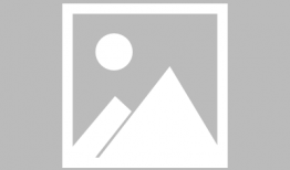 猫咪日常漫画,猫咪的欢乐时光