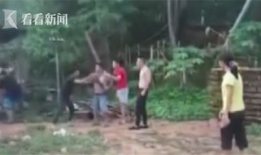 女生尿尿视频,真实尿尿视频背后的故事